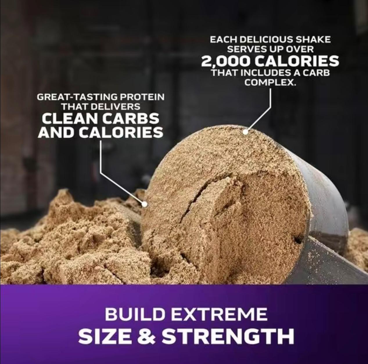 MuscleTech Mass Tech Extreme 2000